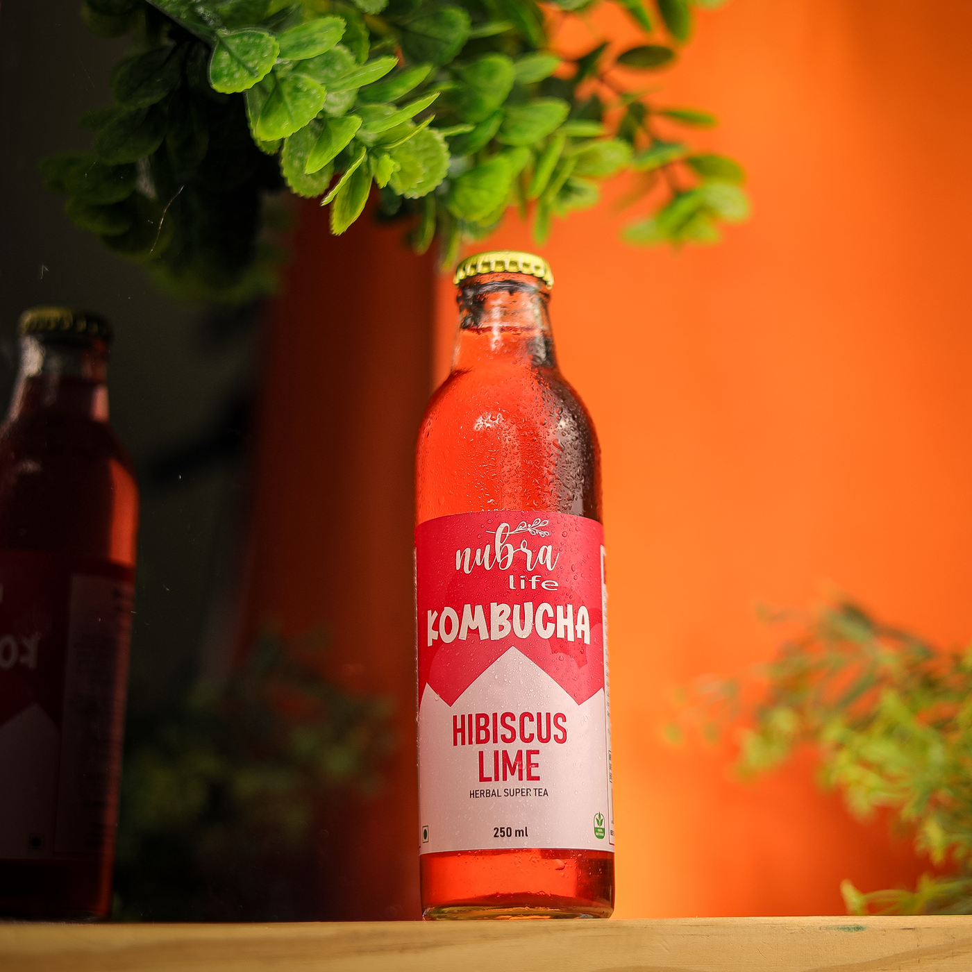 HIBISCUS LIME
